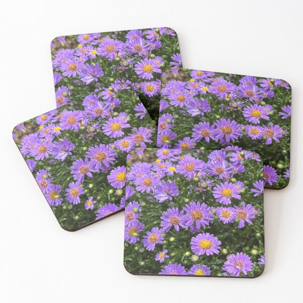 Item preview, Aster: color and hope designed and sold by WAV-Wear-A-Vibe.