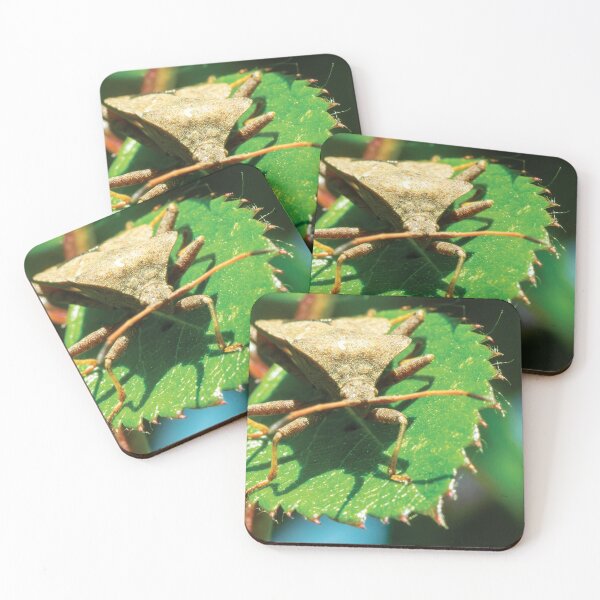 Item preview, Shield bug designed and sold by Damian Statham.