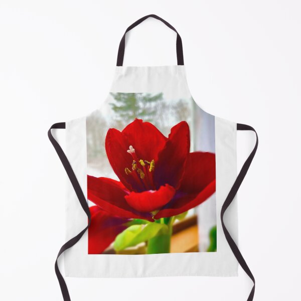 Item preview, Winter Amaryllis designed and sold by Notcamerashy.