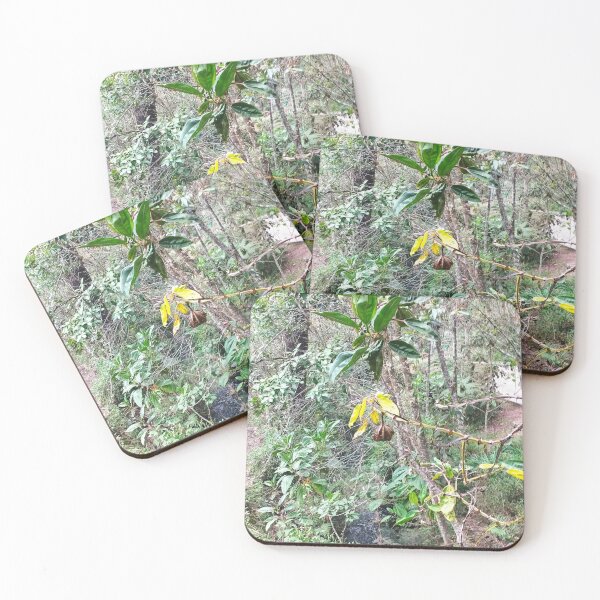 Item preview, Tropical vegetation with green and yellow leaves next to a stream designed and sold by AuraPixelshop.