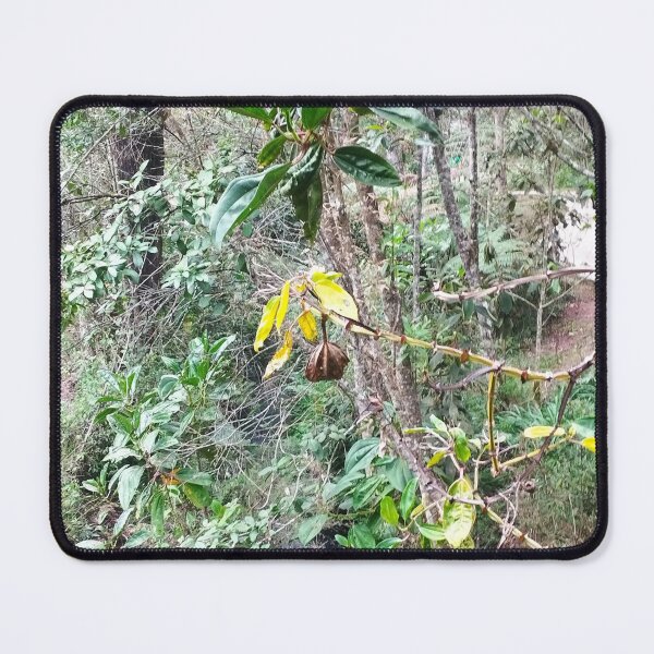 Item preview, Tropical vegetation with green and yellow leaves next to a stream designed and sold by AuraPixelshop.