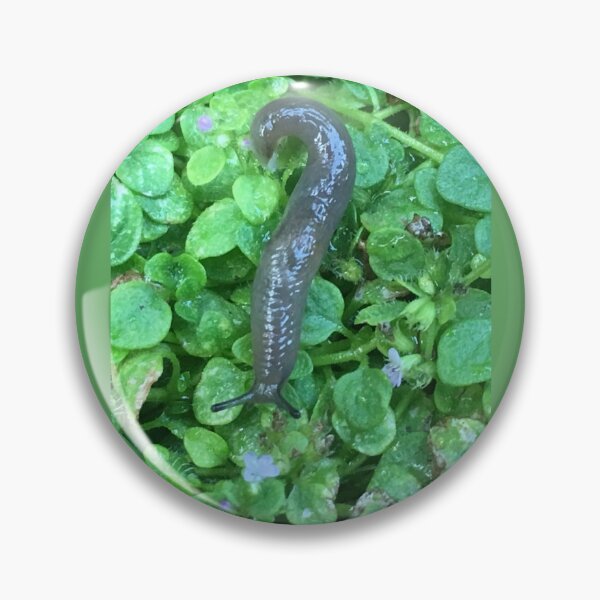 Item preview, Cute Slug Photo designed and sold by A-inProgress.