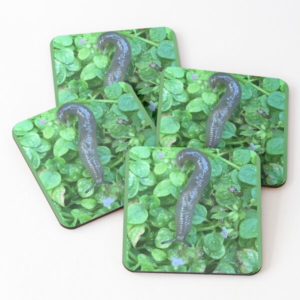 Item preview, Cute Slug Photo designed and sold by A-inProgress.