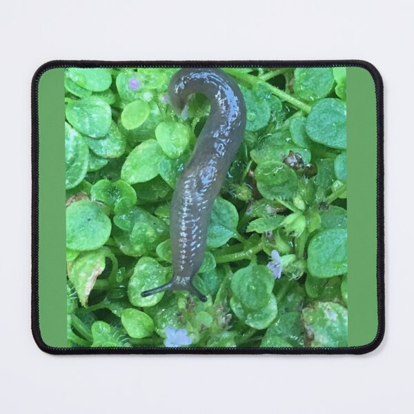 Item preview, Cute Slug Photo designed and sold by A-inProgress.
