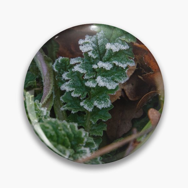 Item preview, Frosted Green Leaf  – Winter Nature Detail designed and sold by ShotsbyDesiree.