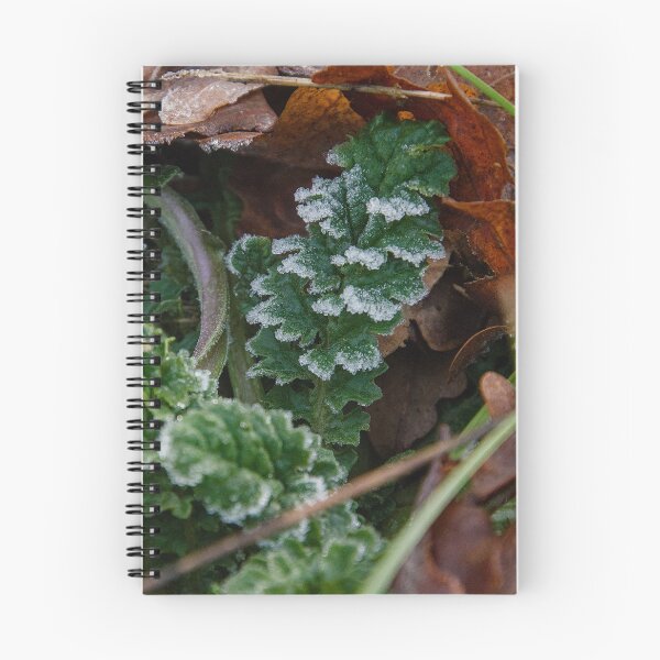Item preview, Frosted Green Leaf  – Winter Nature Detail designed and sold by ShotsbyDesiree.
