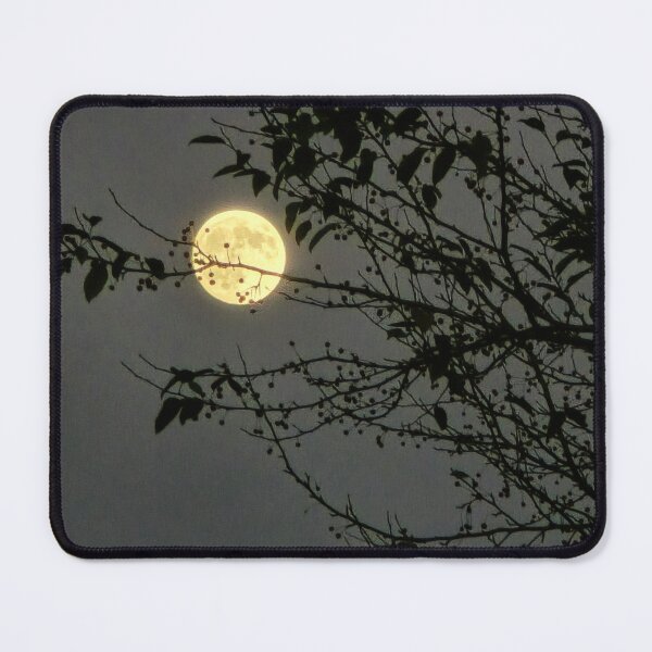 Item preview, Full Moon among Silent Branche designed and sold by AuraPixelshop.