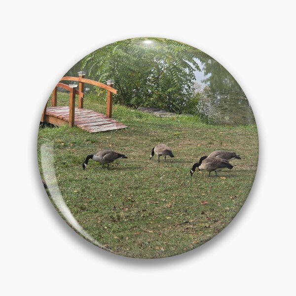 Item preview, Natural lake with Canadian geese designed and sold by AuraPixelshop.