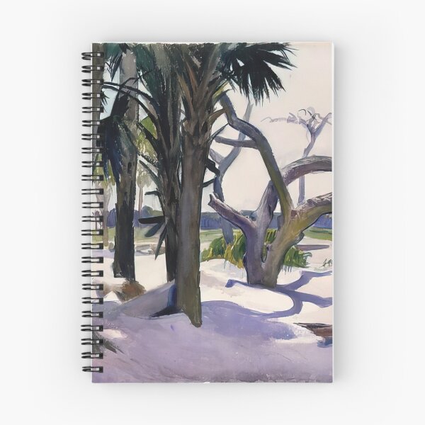 Item preview, Folly Beach, Charleston, South Carolina By Edward Hopper designed and sold by erinkavanagh.