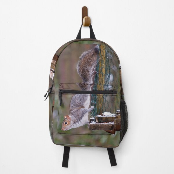 Item preview, Squirrel on show! designed and sold by Stephen Jarman.