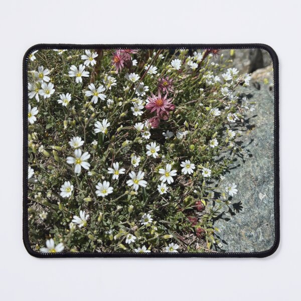 Item preview, Flowering amid rocks designed and sold by WAV-Wear-A-Vibe.