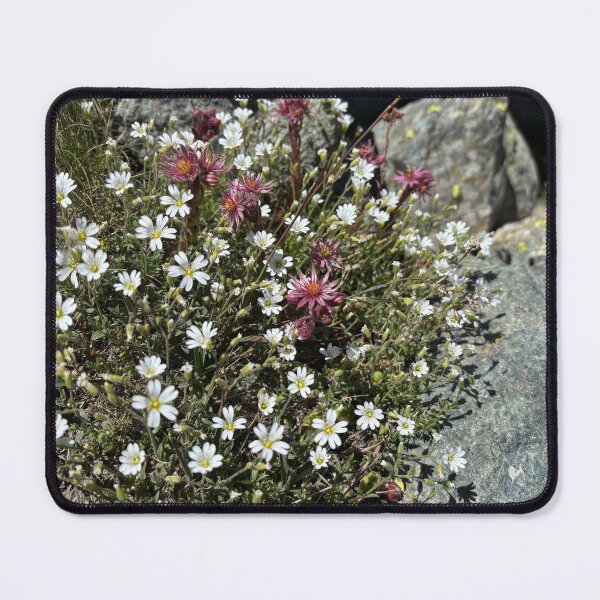 Item preview, Alpine flowers designed and sold by WAV-Wear-A-Vibe.