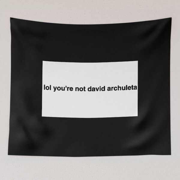 Item preview, Lol Youre Not David Archuleta designed and sold by Snooker4life.