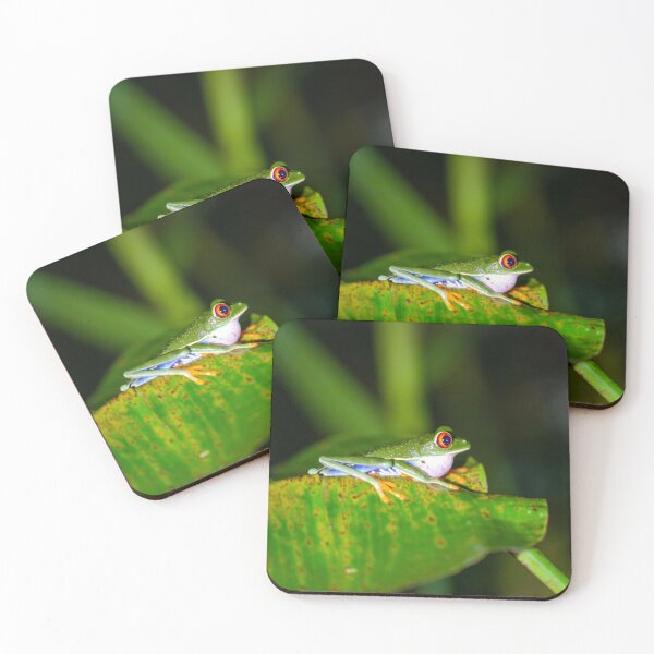 Item preview, Red eyed tree frog, Agalychnis callidryas designed and sold by Zosimus.