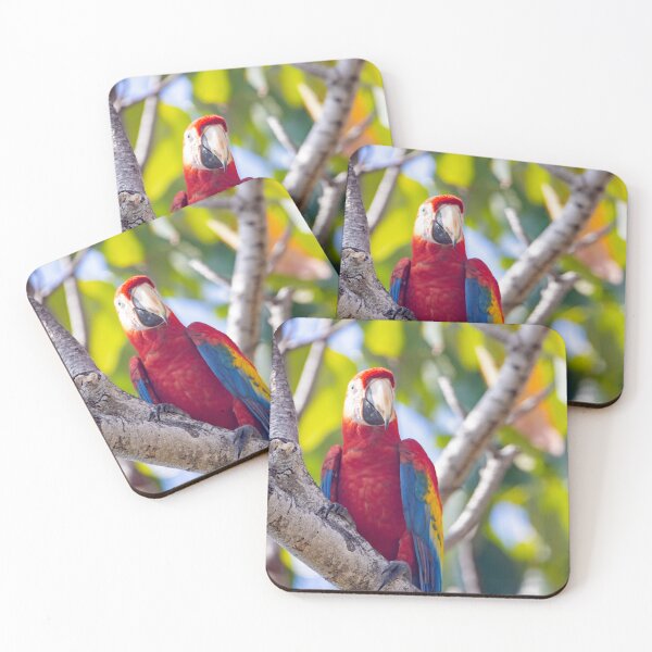 Item preview, Scarlet Macaw, Ara macao, in a tree designed and sold by Zosimus.