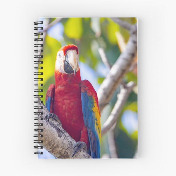 Item preview, Scarlet Macaw, Ara macao, in a tree designed and sold by Zosimus.