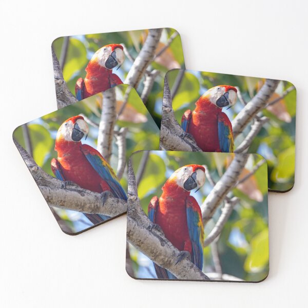 Item preview, Scarlet Macaw, Ara macao, in a tree designed and sold by Zosimus.