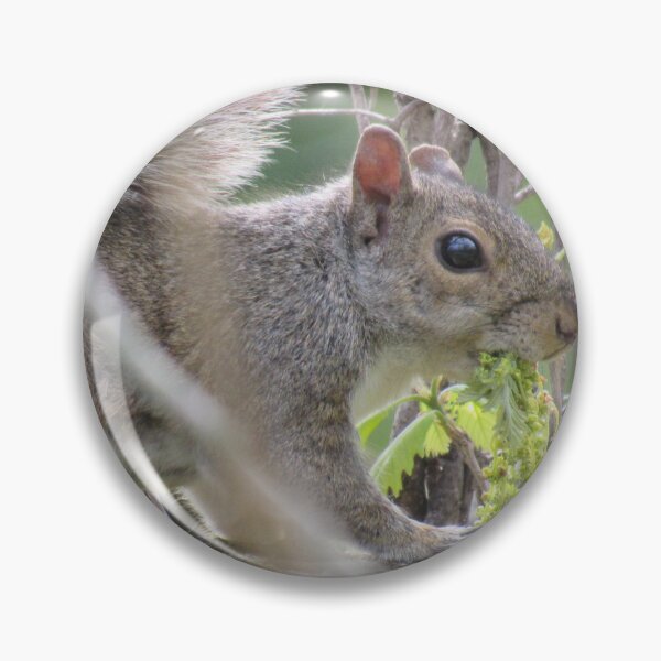 Item preview, A Hungry Squirrel designed and sold by neilfbhatia.