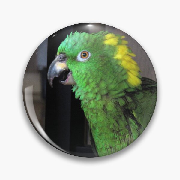 Item preview, The Parrot designed and sold by neilfbhatia.