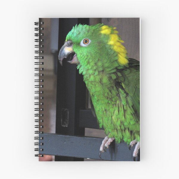 Item preview, The Parrot designed and sold by neilfbhatia.