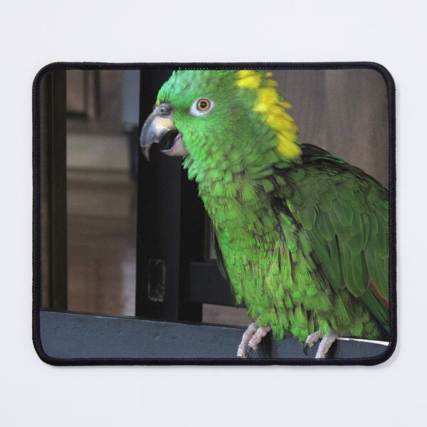 Item preview, The Parrot designed and sold by neilfbhatia.