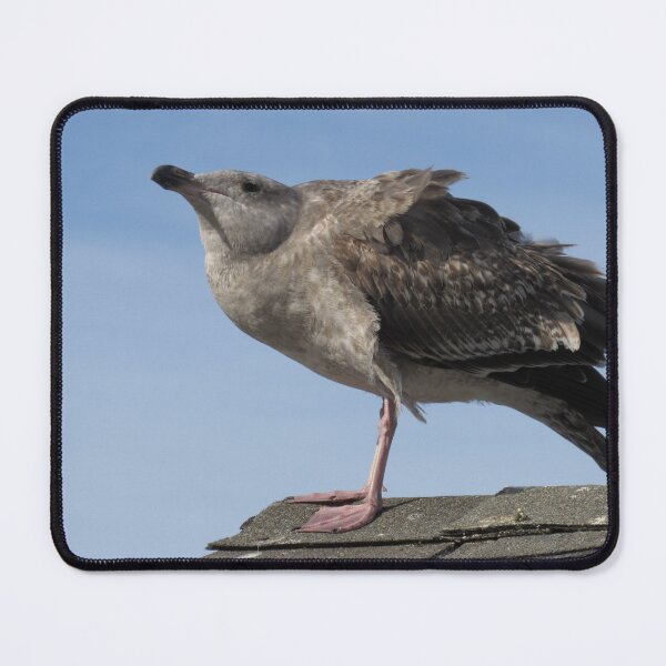 Item preview, The Seagull 2 designed and sold by neilfbhatia.