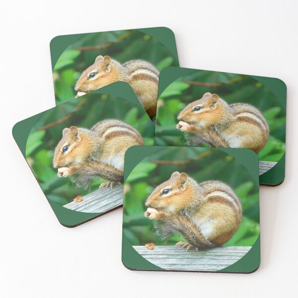 Item preview, Chipmunk Eating a Nut designed and sold by AmyBsPics.