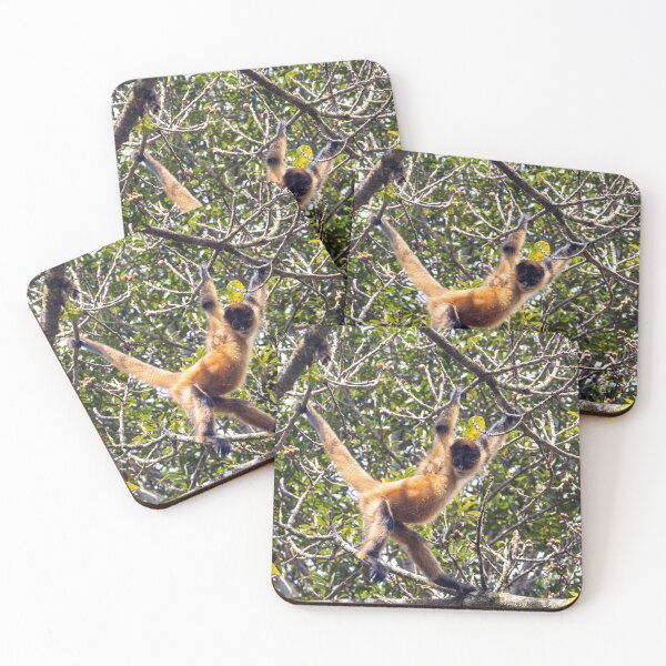 Item preview, Ornate spider monkey, Ateles geoffroyi ornatus designed and sold by Zosimus.