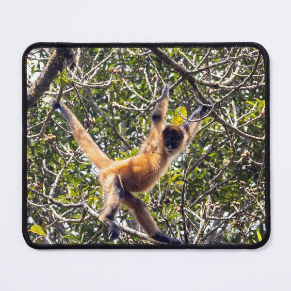 Item preview, Ornate spider monkey, Ateles geoffroyi ornatus designed and sold by Zosimus.