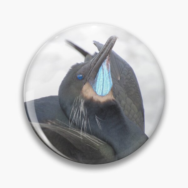 Item preview, Brandt's Cormorant designed and sold by neilfbhatia.