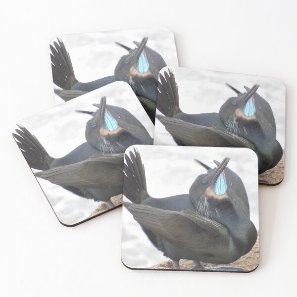 Item preview, Brandt's Cormorant designed and sold by neilfbhatia.