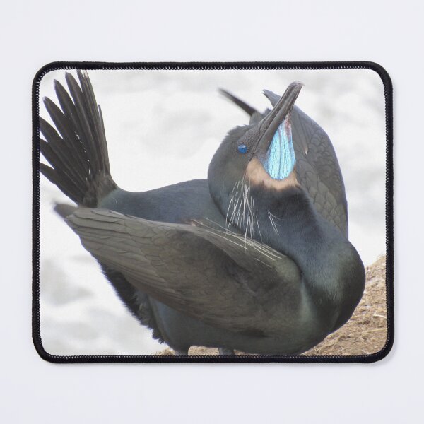 Item preview, Brandt's Cormorant designed and sold by neilfbhatia.