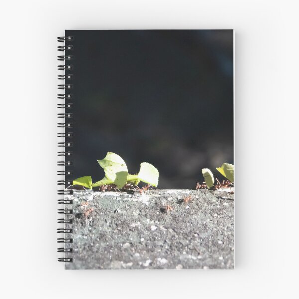 Item preview, Leafcutter ants, Atta cephalotes, designed and sold by Zosimus.