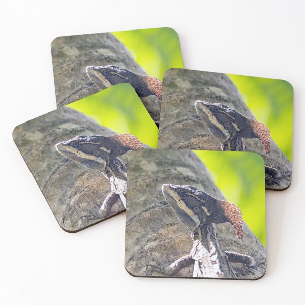 Item preview, Common basilisk, Basiliscus basiliscus designed and sold by Zosimus.