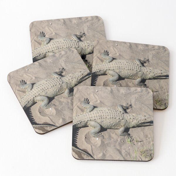 Item preview, American crocodile, Crocodylus acutus designed and sold by Zosimus.
