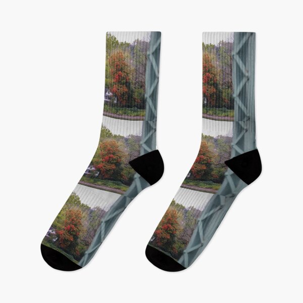 Item preview, Fall Foliage designed and sold by lpolitano.