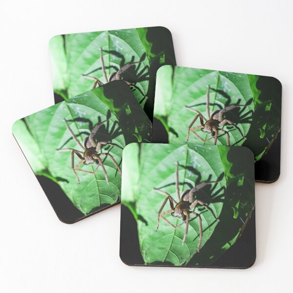Item preview,  Red-legged Wandering Spider, Cupiennius coccineus designed and sold by Zosimus.