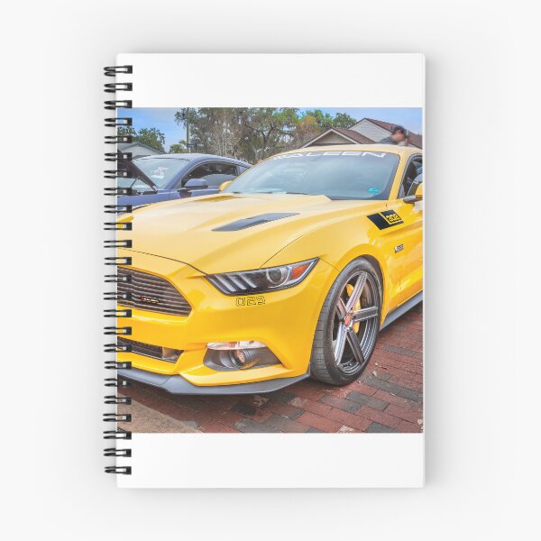 Item preview, 2017 Saleen S302 White Label Mustang X170 designed and sold by RichFrancoCars.