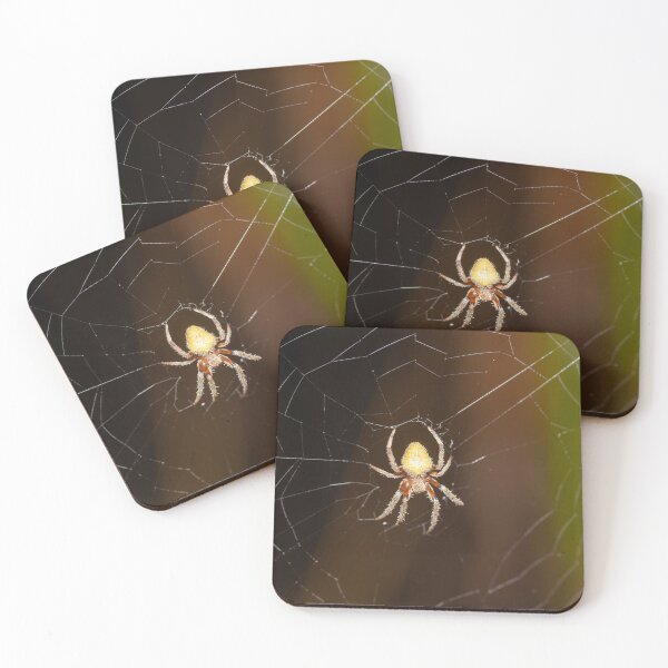 Item preview, Tropical orb weaver, Eriophora ravilla designed and sold by Zosimus.