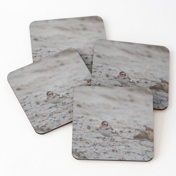 Item preview, Snow Bunting in Norfolk designed and sold by clgcreativearts.