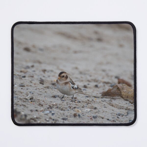 Item preview, Snow Bunting in Norfolk designed and sold by clgcreativearts.