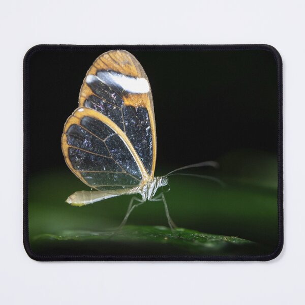 Item preview, Thick tipped greta, Greta morgane, on a leaf designed and sold by Zosimus.