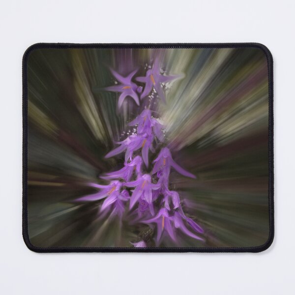 Item preview, Stars in the Morning Sun designed and sold by Wayne King.