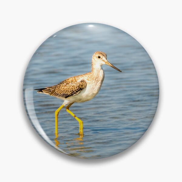 Item preview, Single Yellowlegs in Shallow Wetlands designed and sold by Debra Martz.
