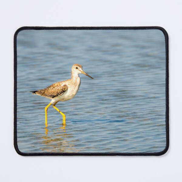 Item preview, Single Yellowlegs in Shallow Wetlands designed and sold by Debra Martz.