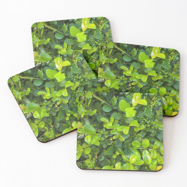 Item preview, Green Healing designed and sold by Lifeisbeachy.