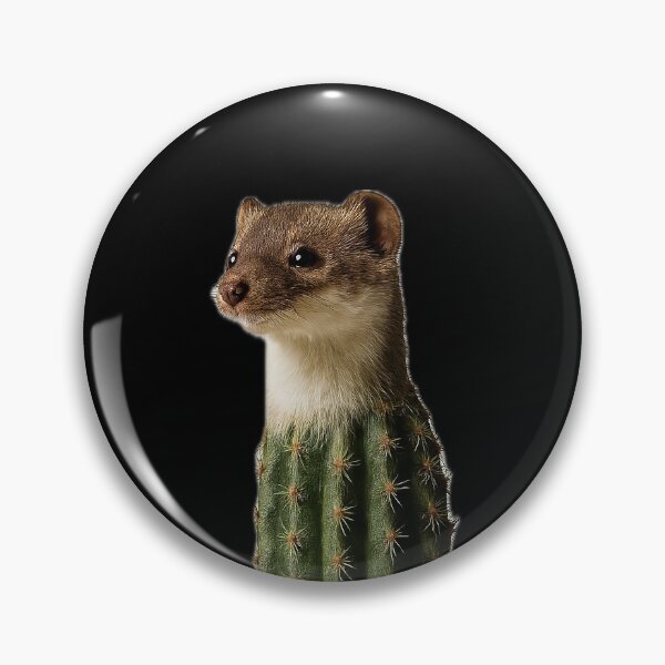Item preview, Lanky Weasel cactus  designed and sold by Burberts.