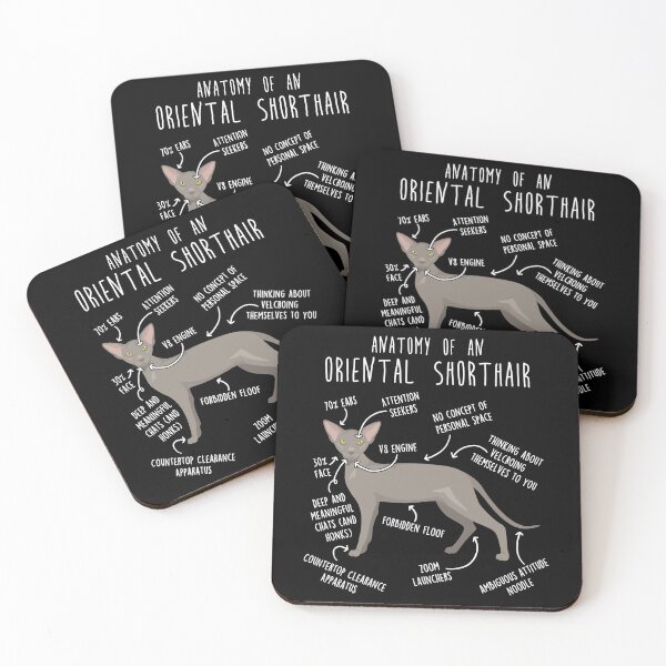 Item preview, Lavender Oriental Shorthair Cat Anatomy designed and sold by Clara Hollins.