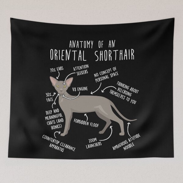 Item preview, Lavender Oriental Shorthair Cat Anatomy designed and sold by Clara Hollins.