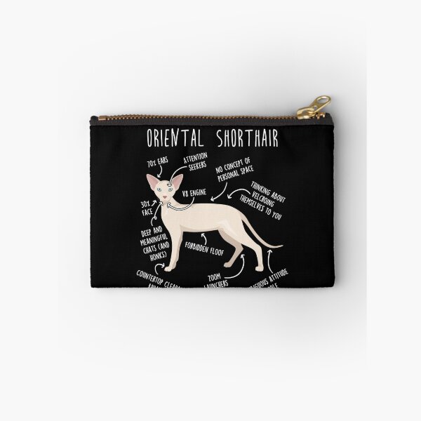 Item preview, Cream Oriental Shorthair Cat Anatomy designed and sold by Clara Hollins.